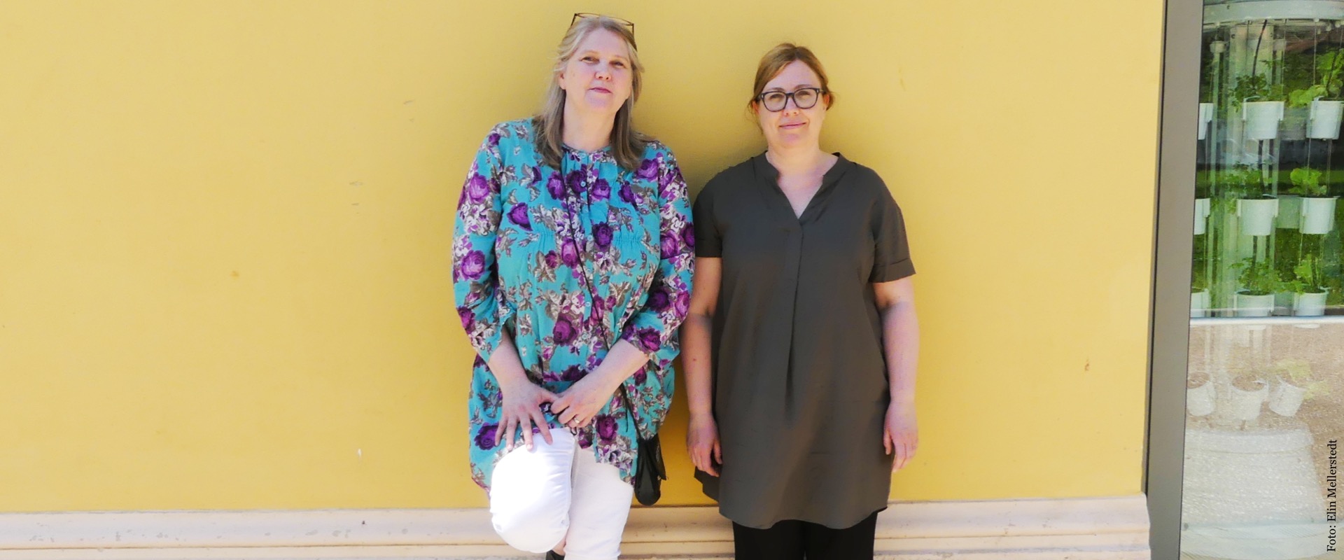 Eva Öhgren och Rose-Marie Nilsson Reggio Emiliaslide.jpg