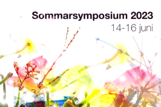 Sommarsymposium Hemsidan Liten Puff hemsidan 320X213