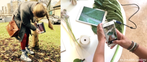 Ipads Och Smartphones, Stor Puff